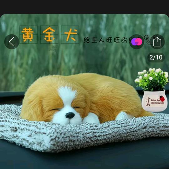 为自己错误买单