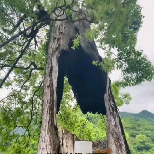 1切归零，从心开始