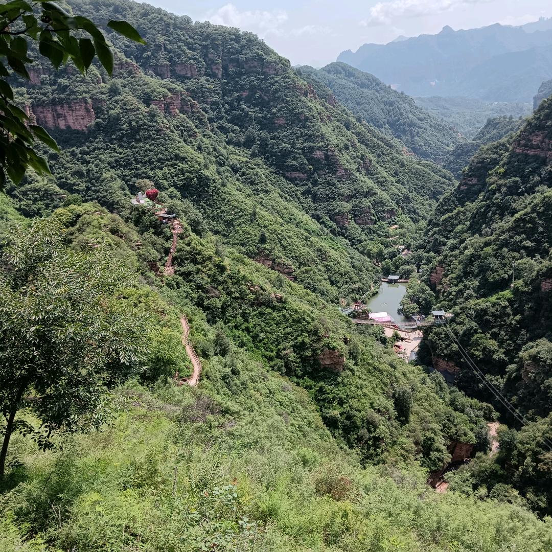 北飘的人