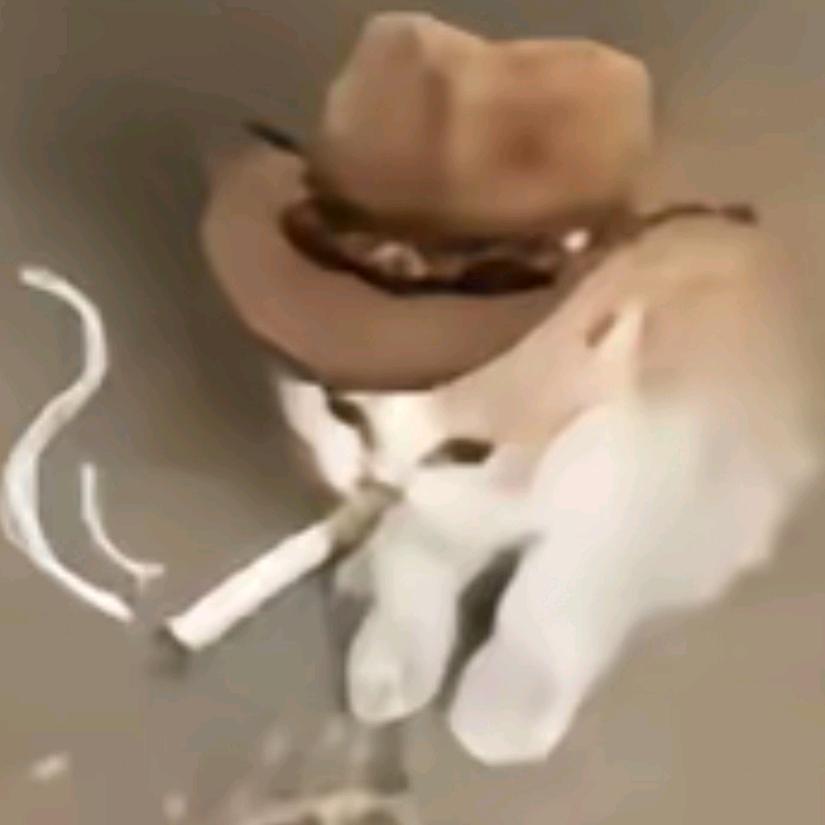 小猫骑老奶奶过马路