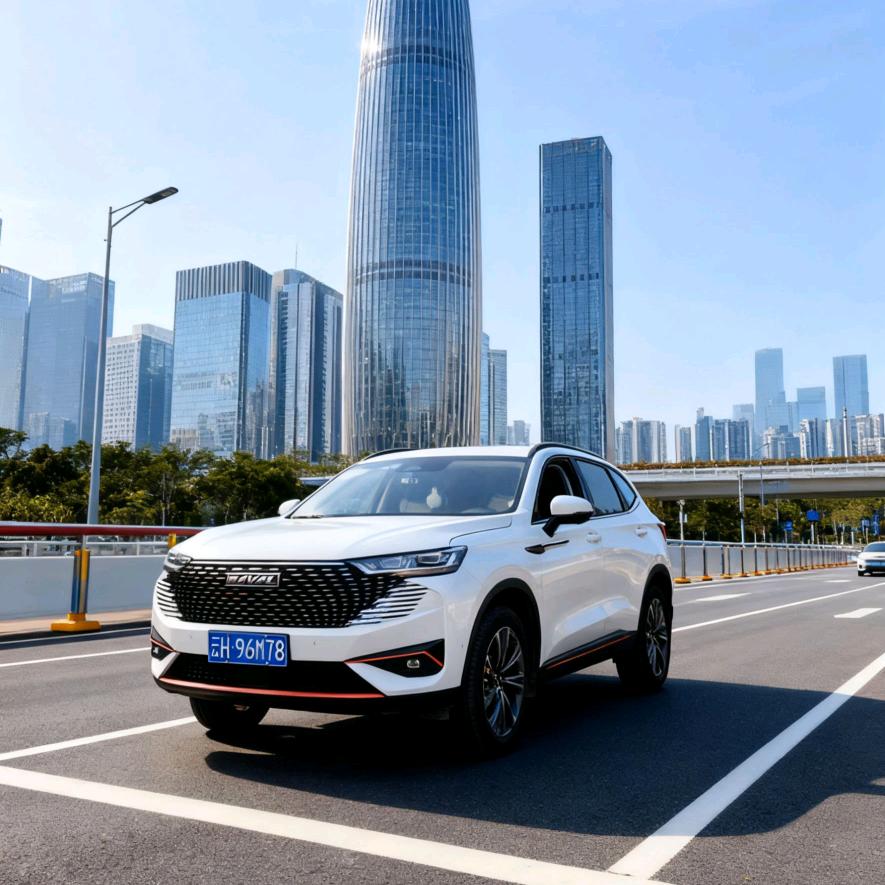 韩老魔HAVAL滇🇨🇳