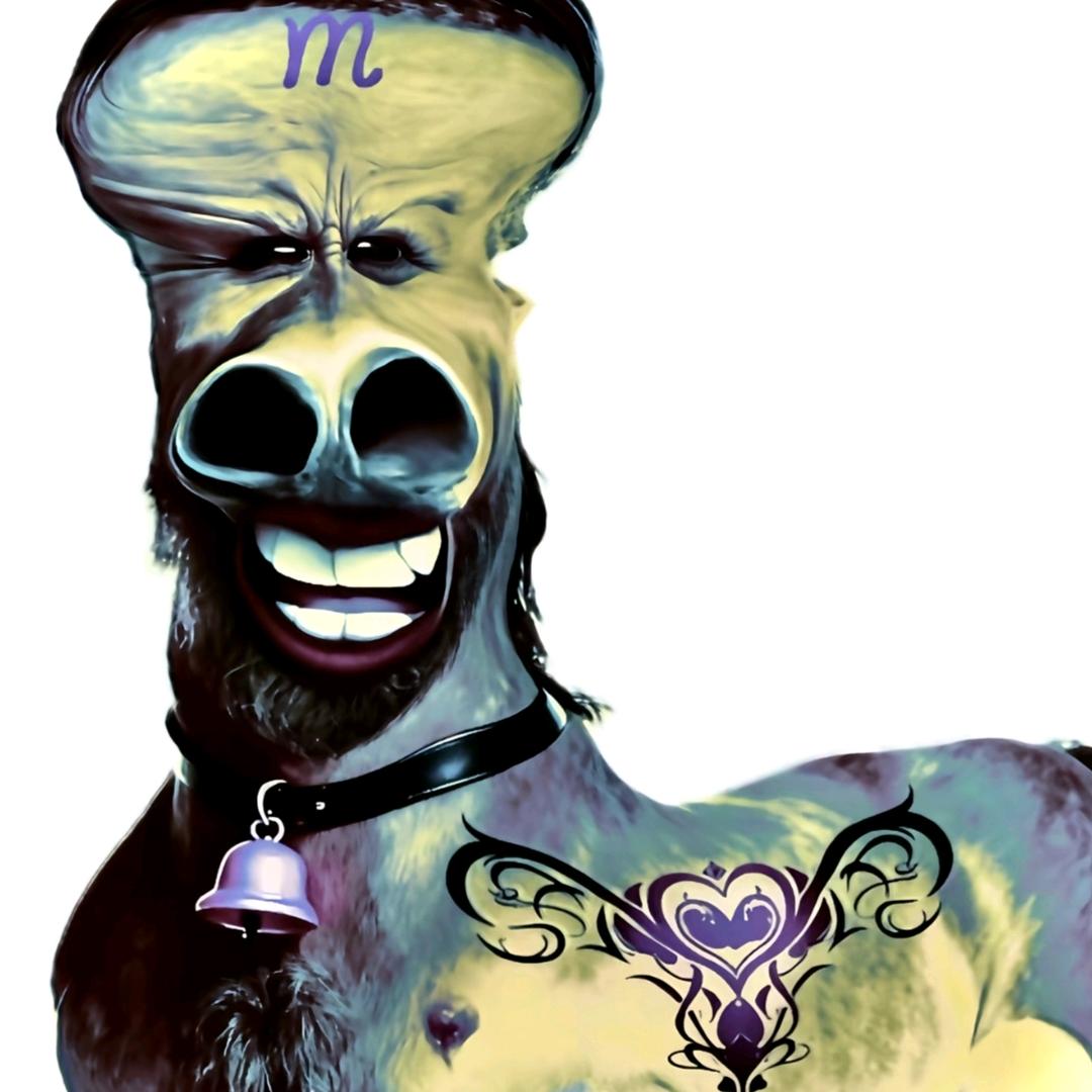 人（爱吃香菜）