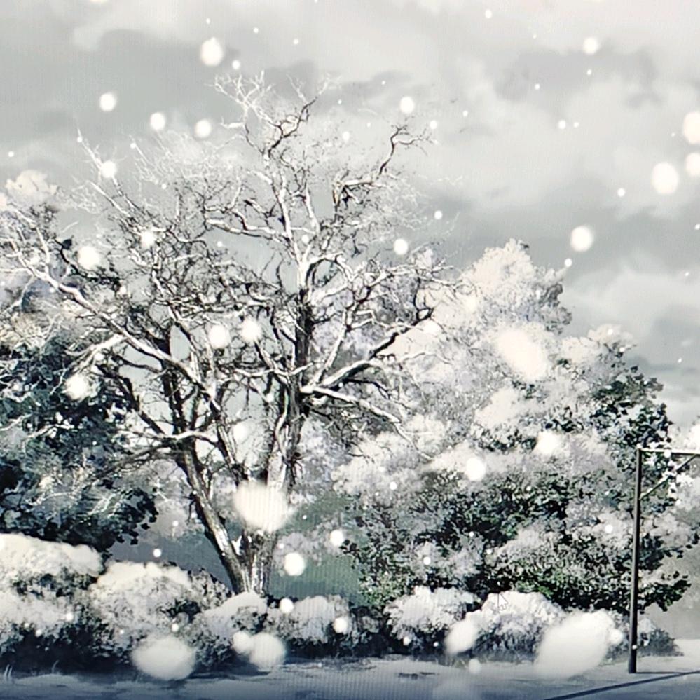 梅花香自我寒来