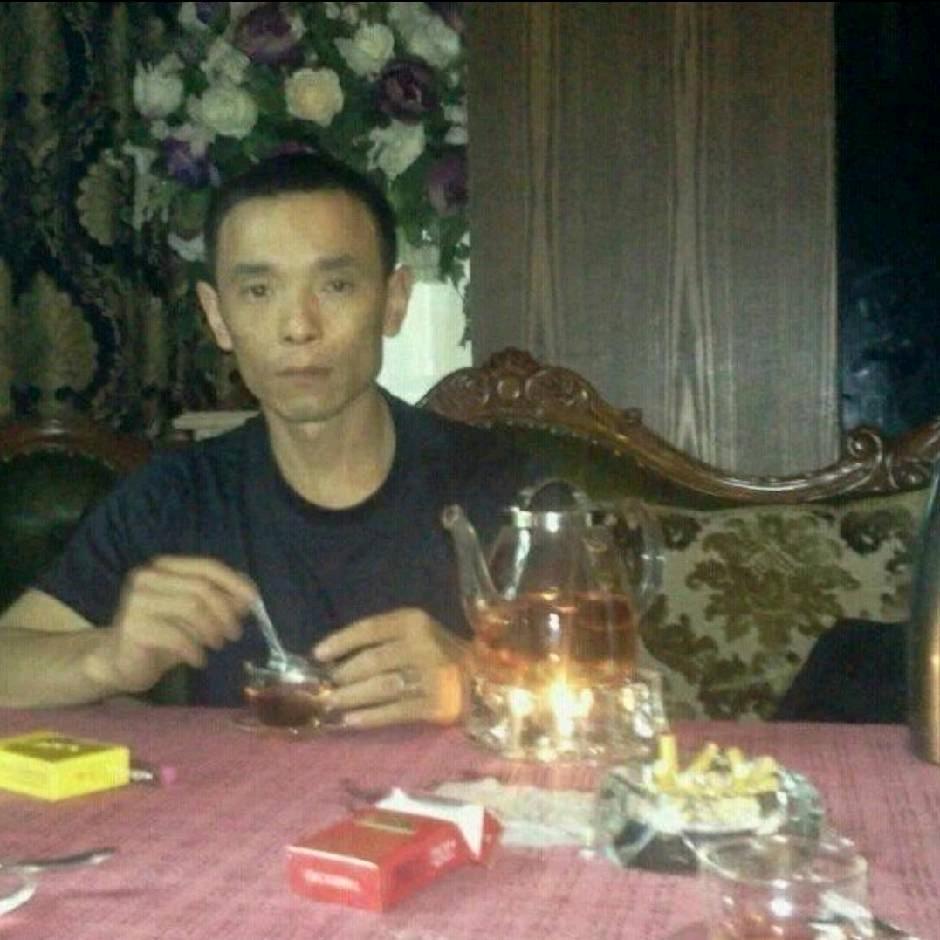 宠物猫繁殖   黄杰