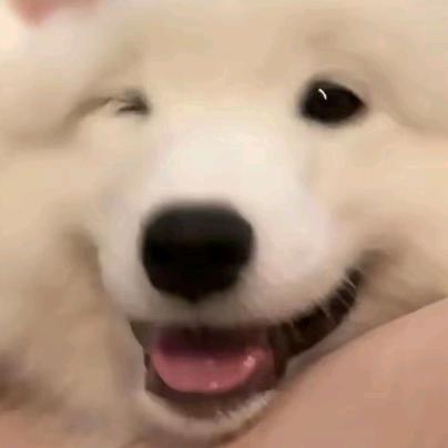 我要出去玩