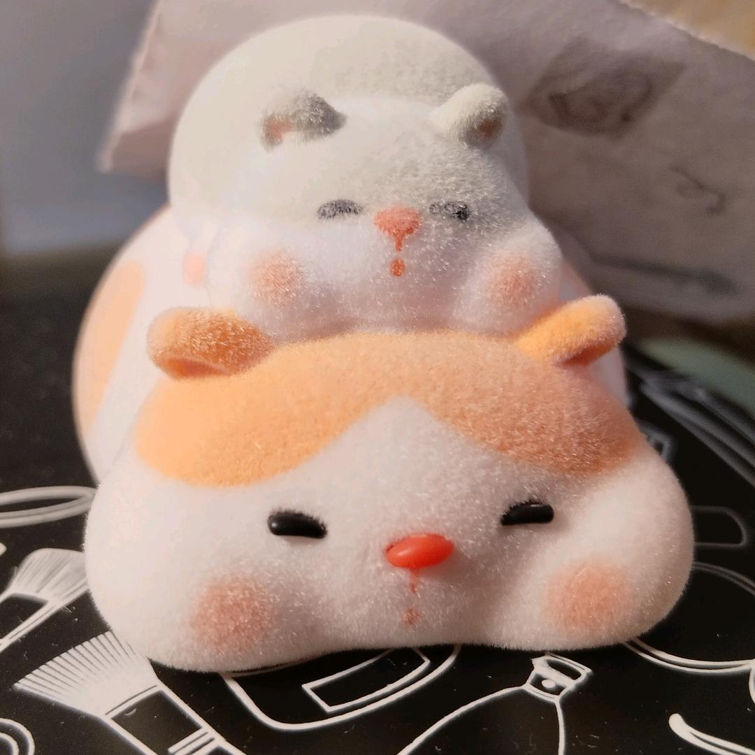 ✿艾妮（直击高考版）🌙