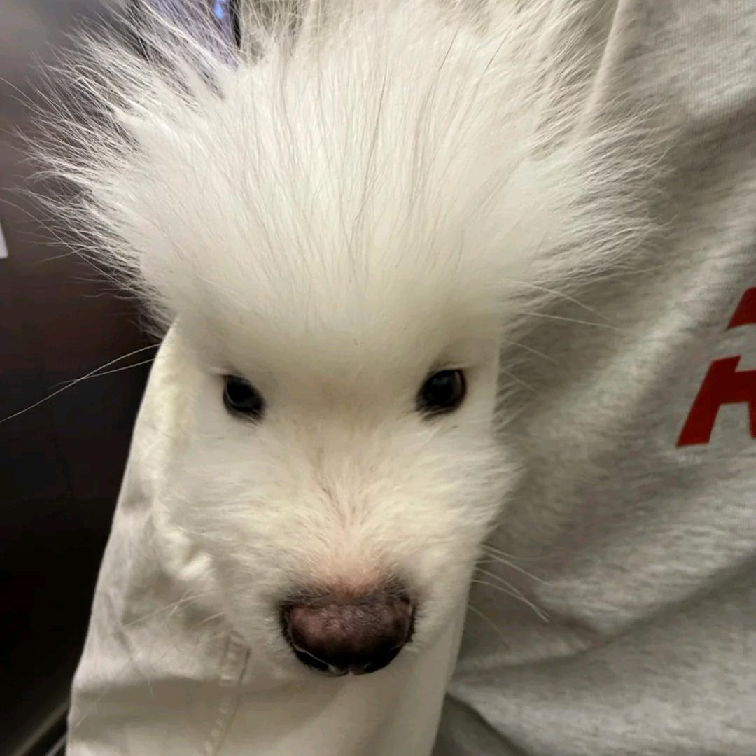 力晟游泳健身山山