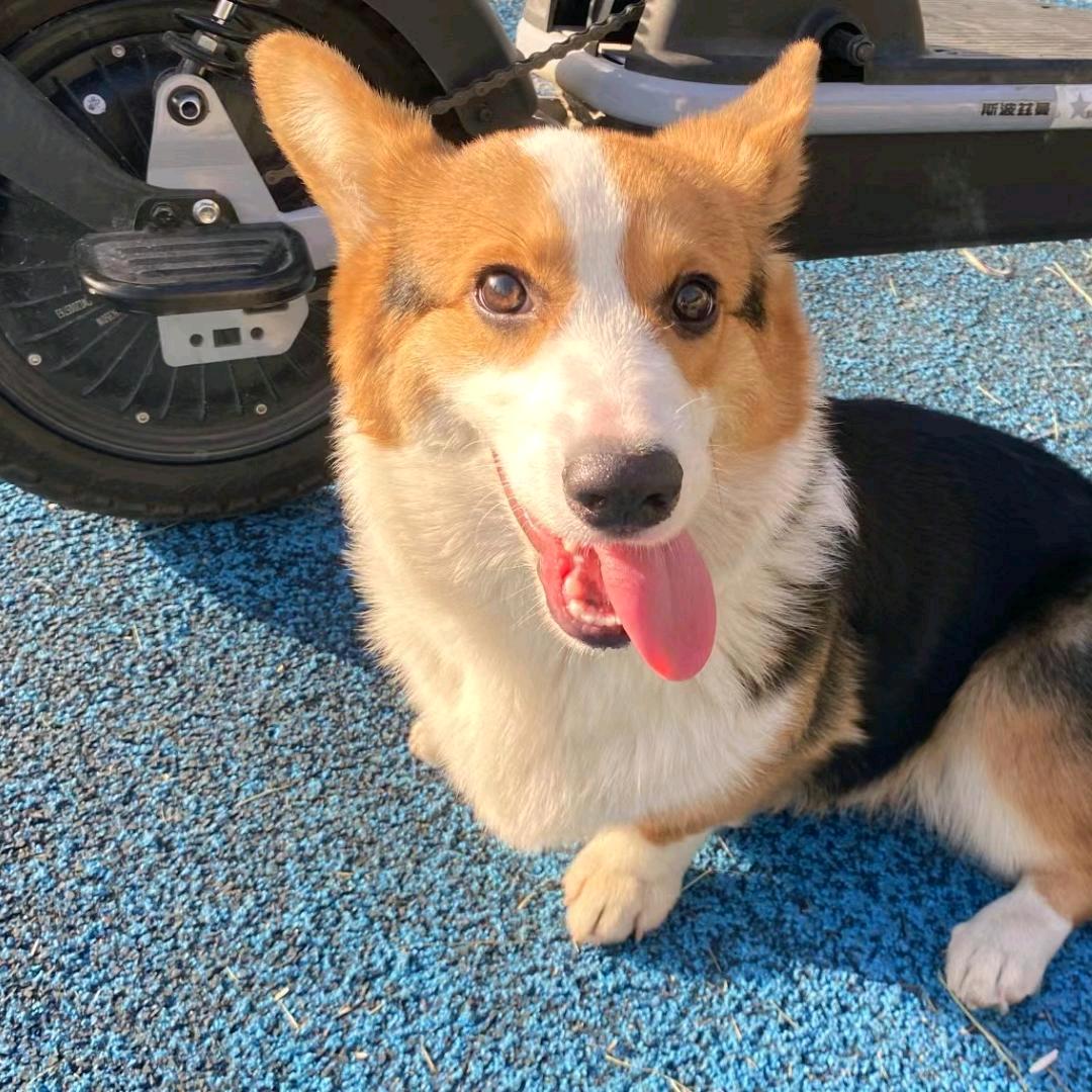 我每天开心😃～