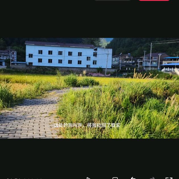 小度小度，在呢！