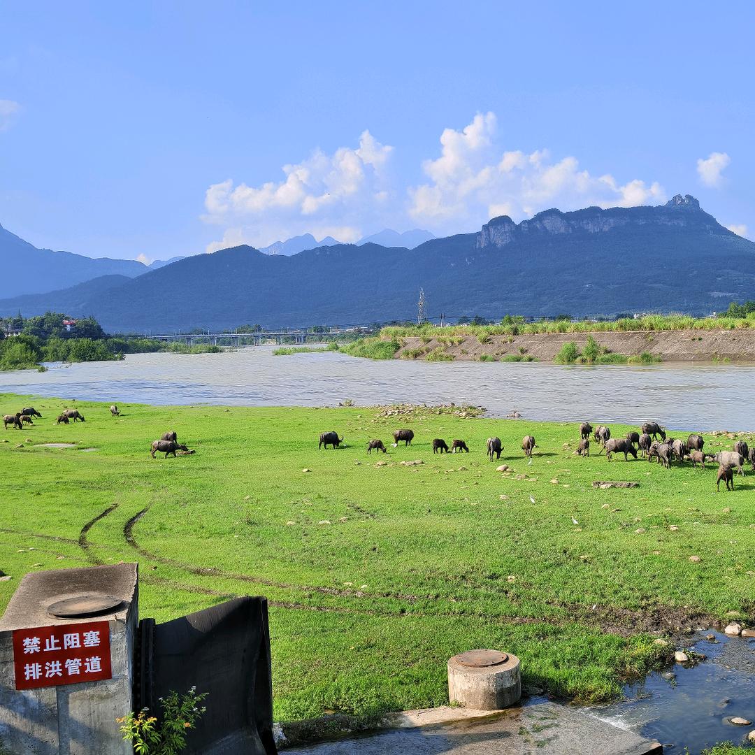 奔袭甩飞苦茶子🇨🇳