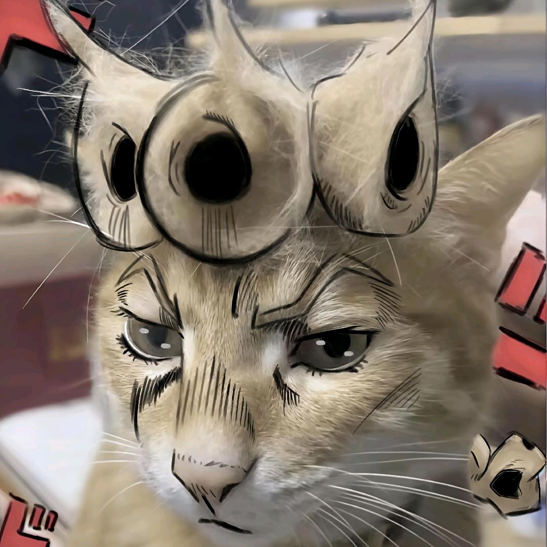 你看你哥呢