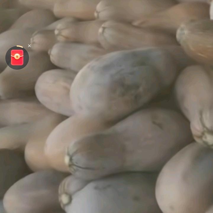 🐲🐲🐲🐲🐲🐲