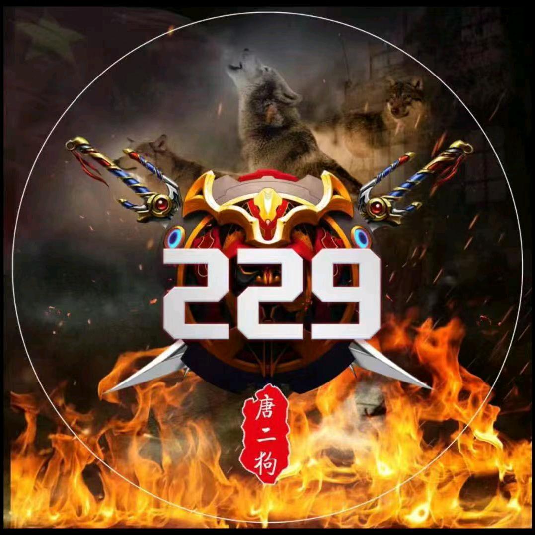 老实人229