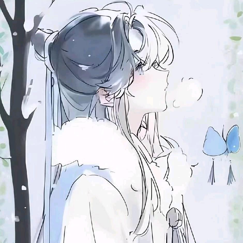 揽星辰入梦