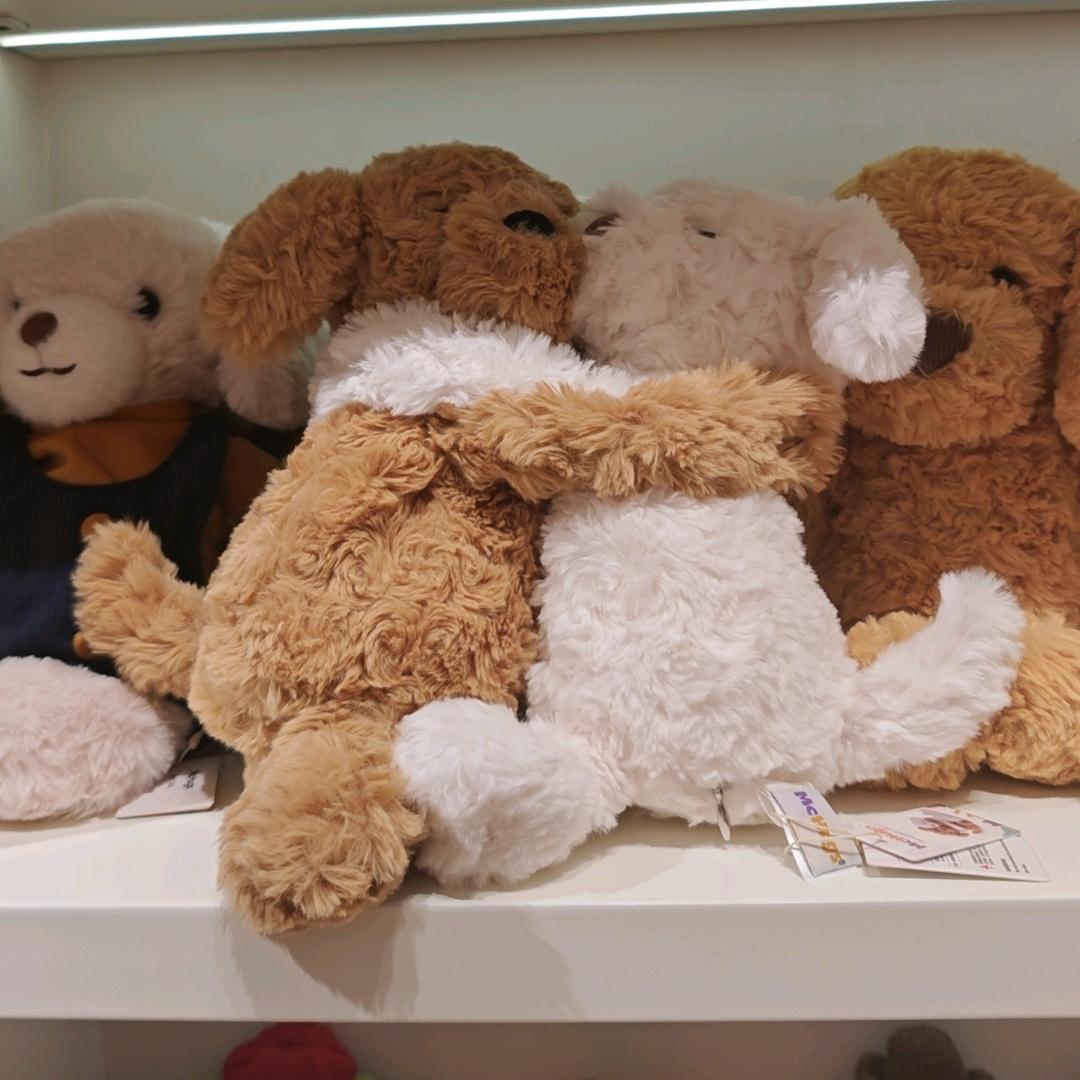一只蛋黄仔