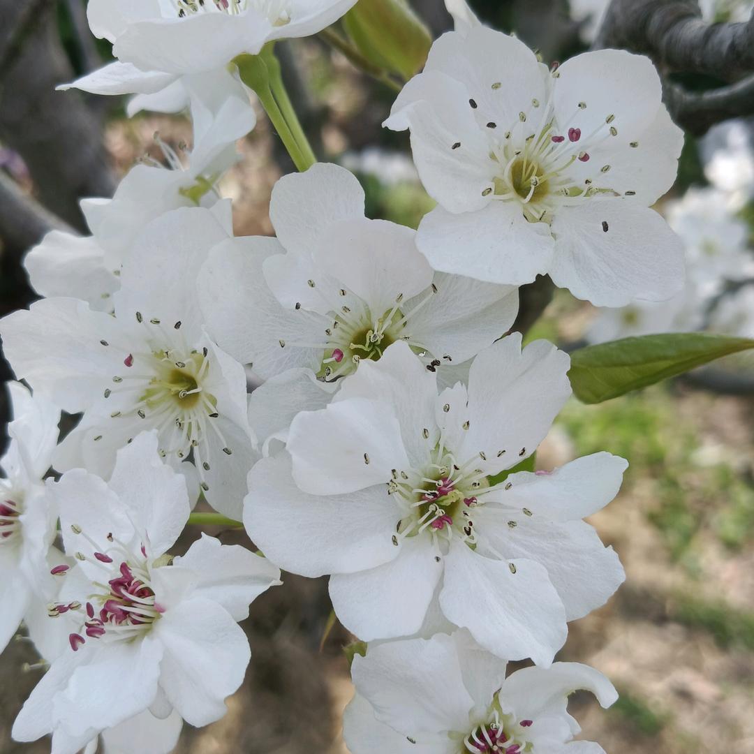 ƪ(˘⌣˘)ʃ优雅恋人未满