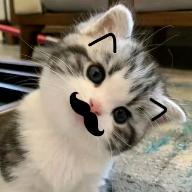 漆吟