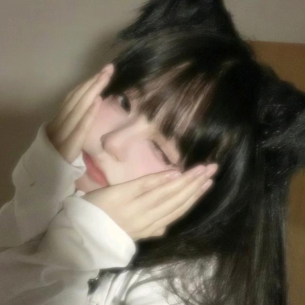 猫猫教忠实教徒