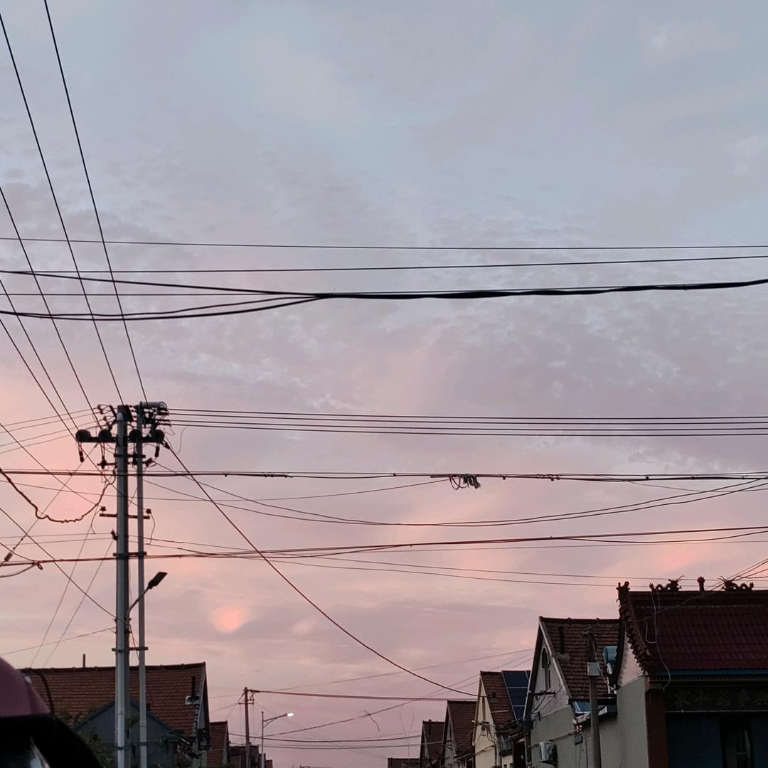 不吃香菜.