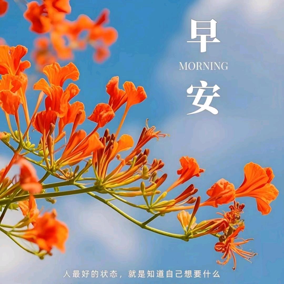 收售二手车皮卡大面包