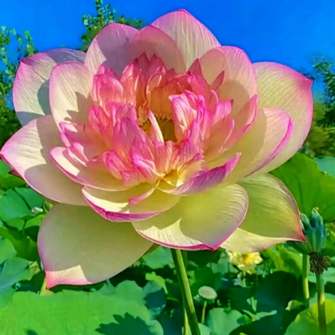 有你才幸福～