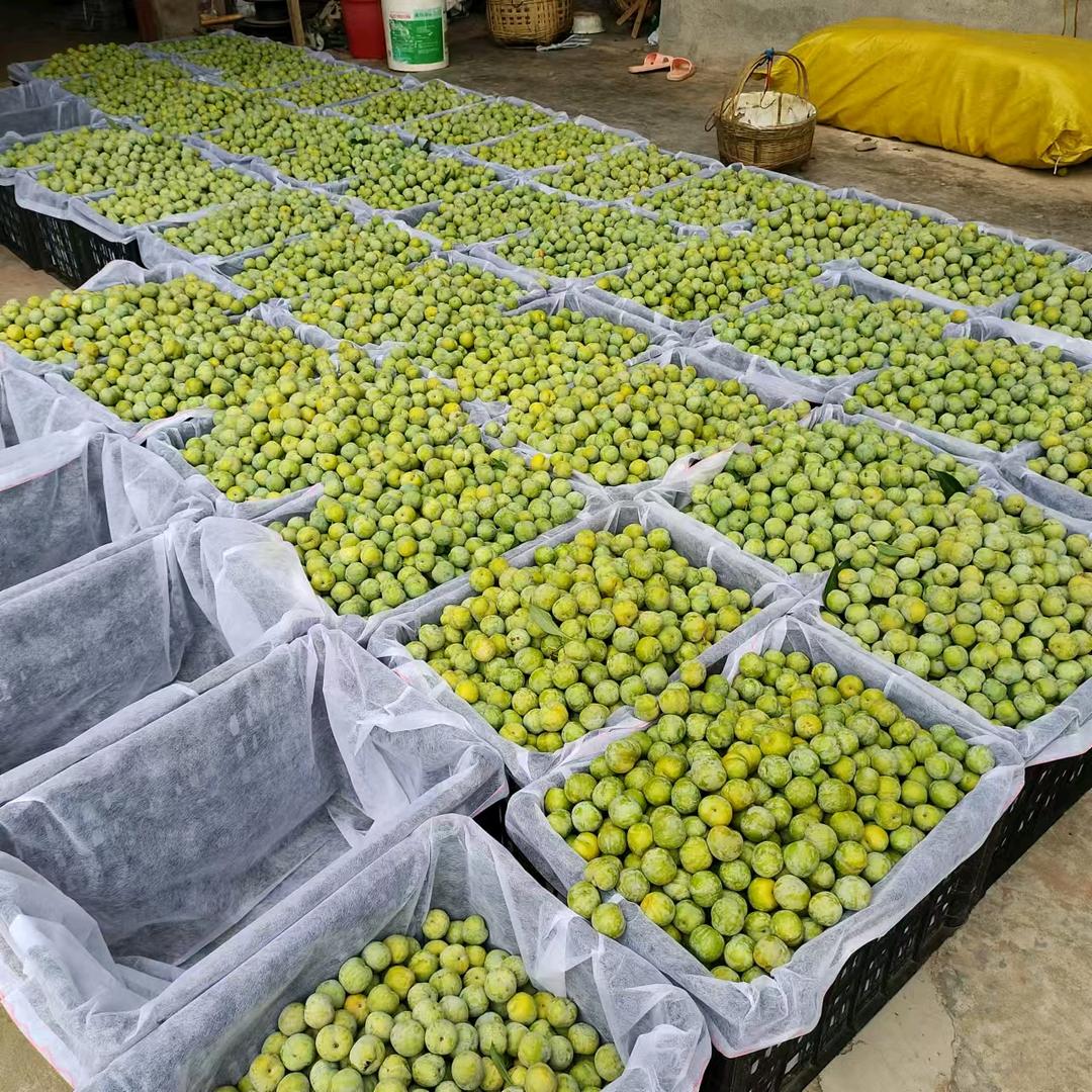 不忘初心方得始终