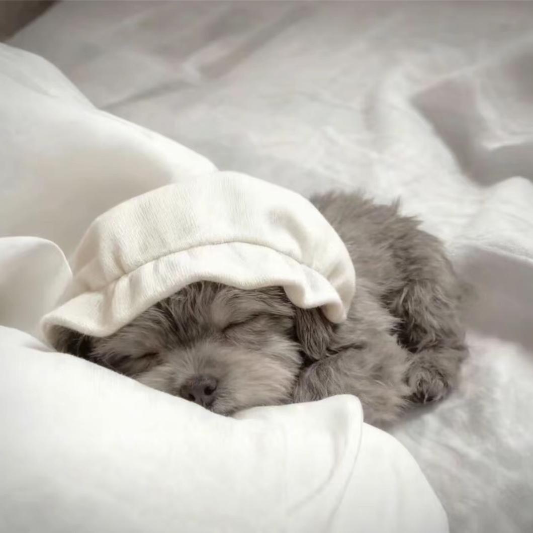 一点点的一点点