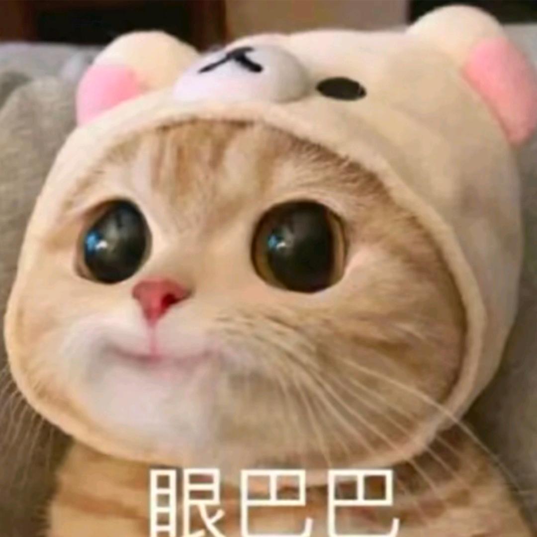 权🚀