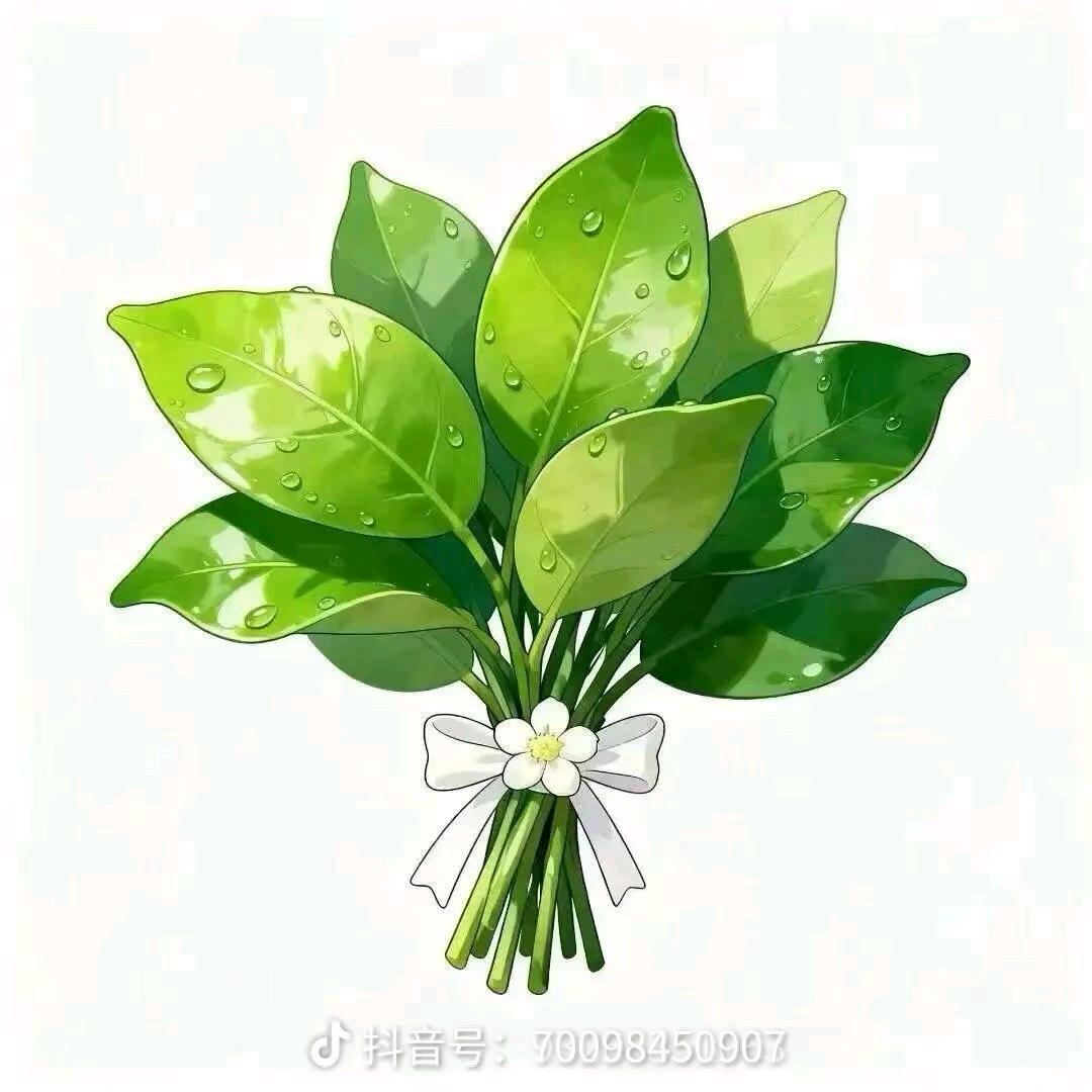 南城