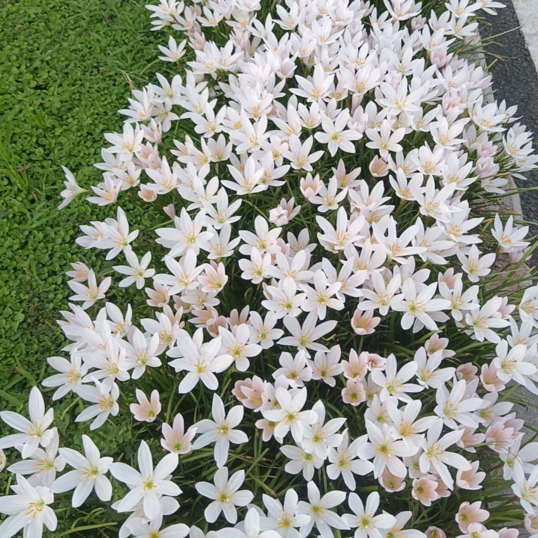 分钱不花，想夺一哈