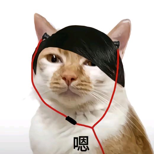 呱呱呱