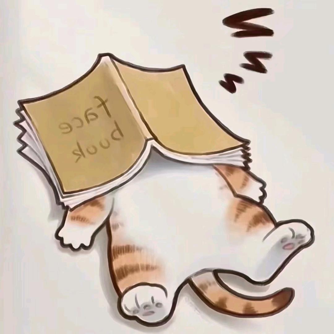 柒七