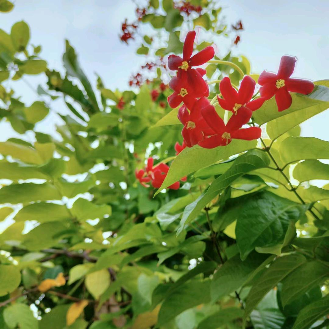 王渝洁