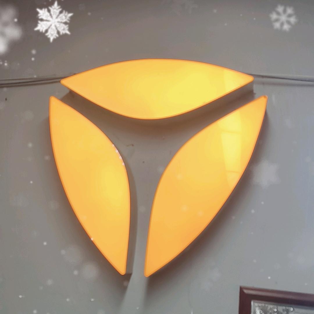 红红火火（祥瑞)雅迪电动车