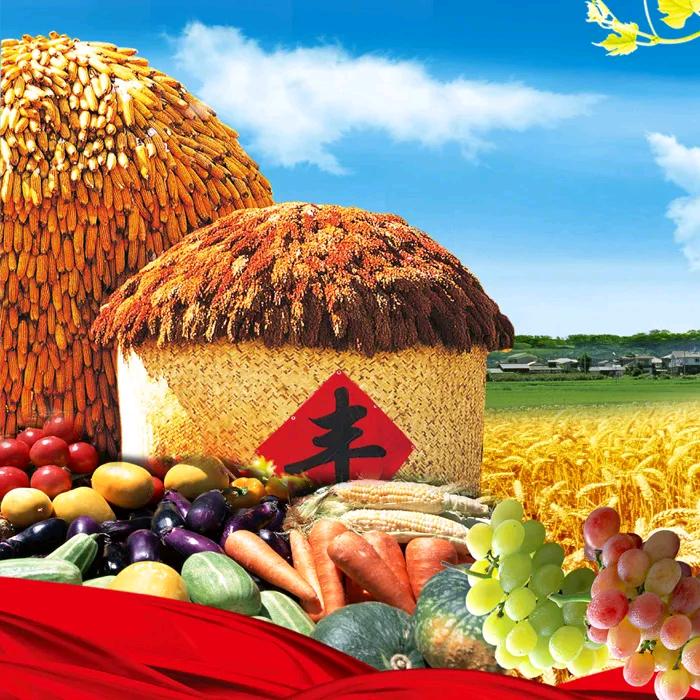 臻粮美食馆