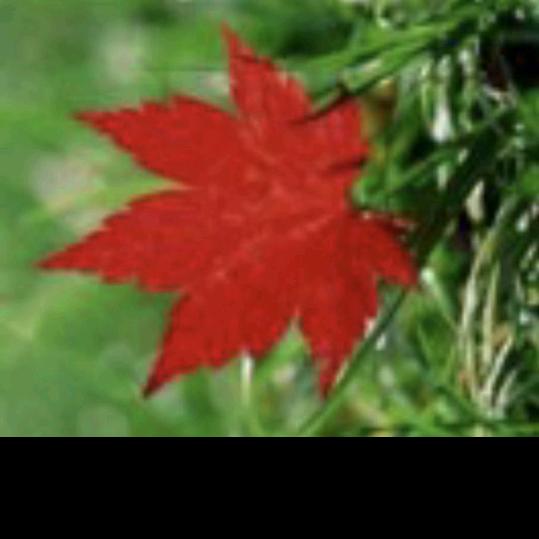 安心❤️❤️❤️