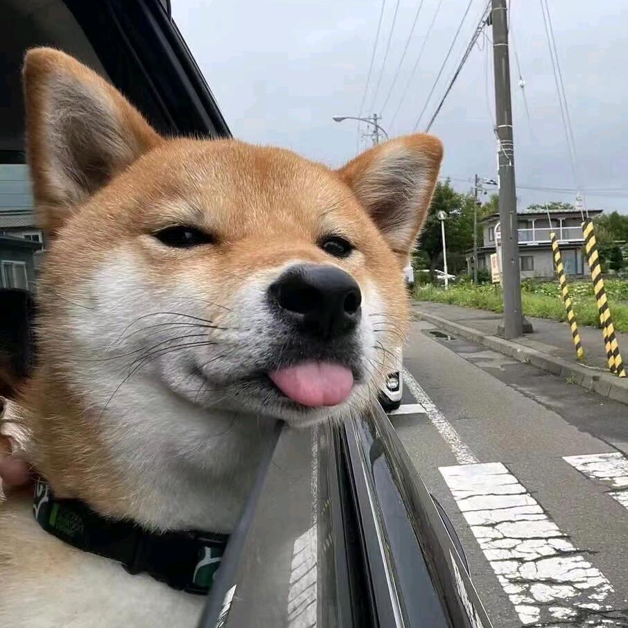 爱人错过