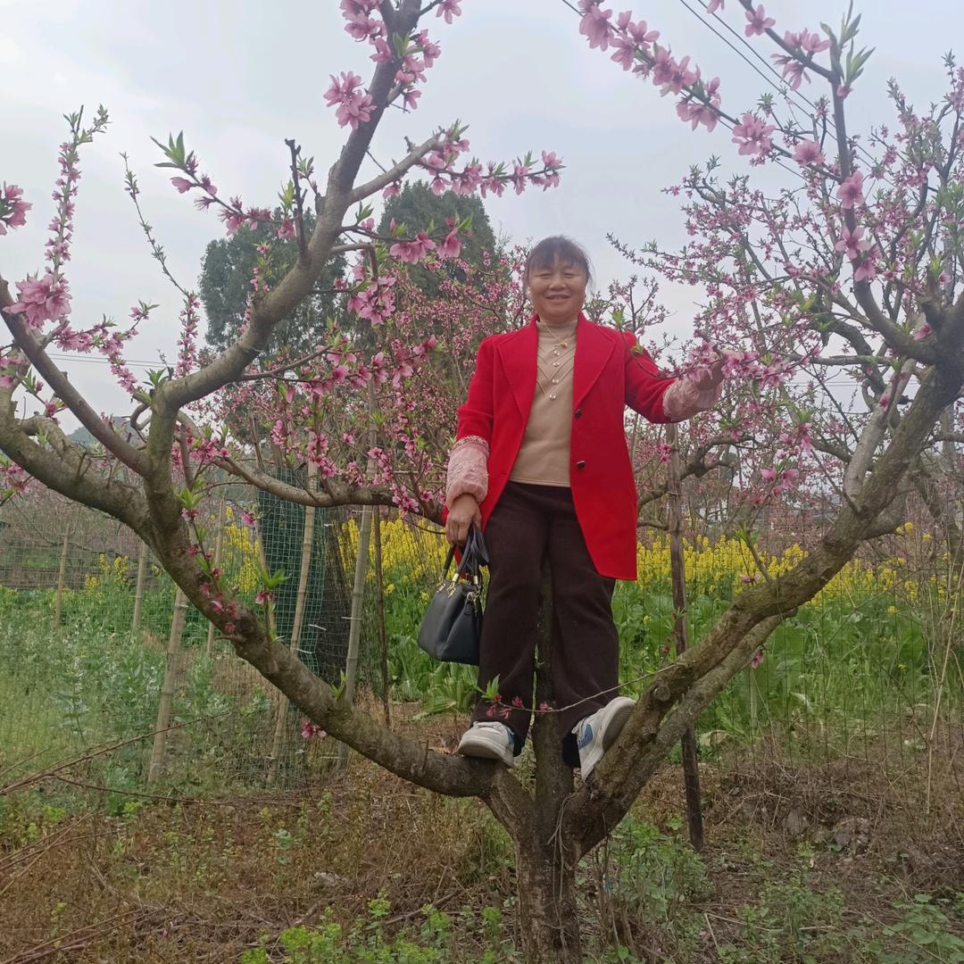 朱大姐