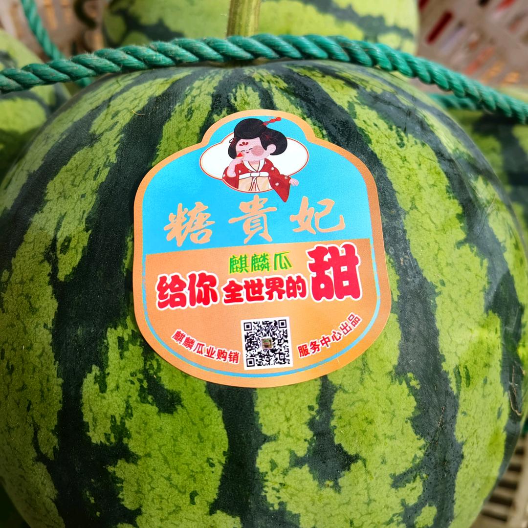 泾川小盖瓜果代办
