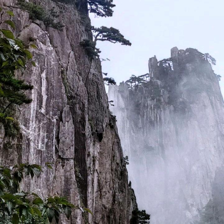 命运的安排