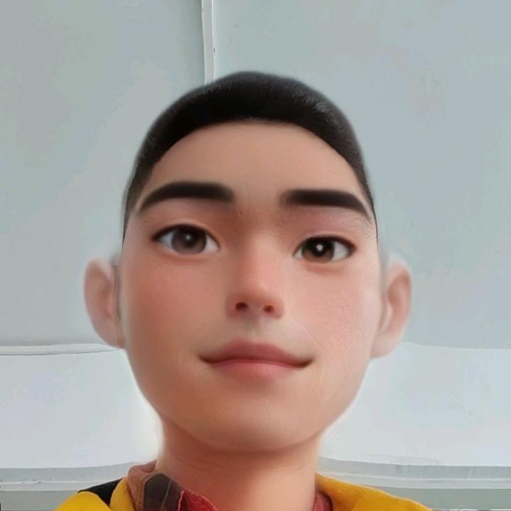 河南胡哥