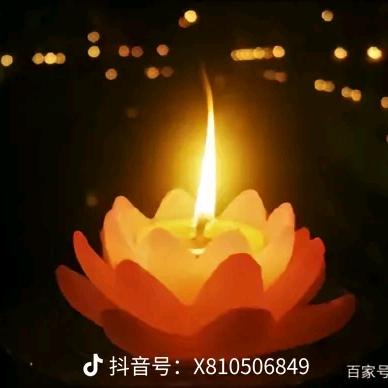 希望在回忆里