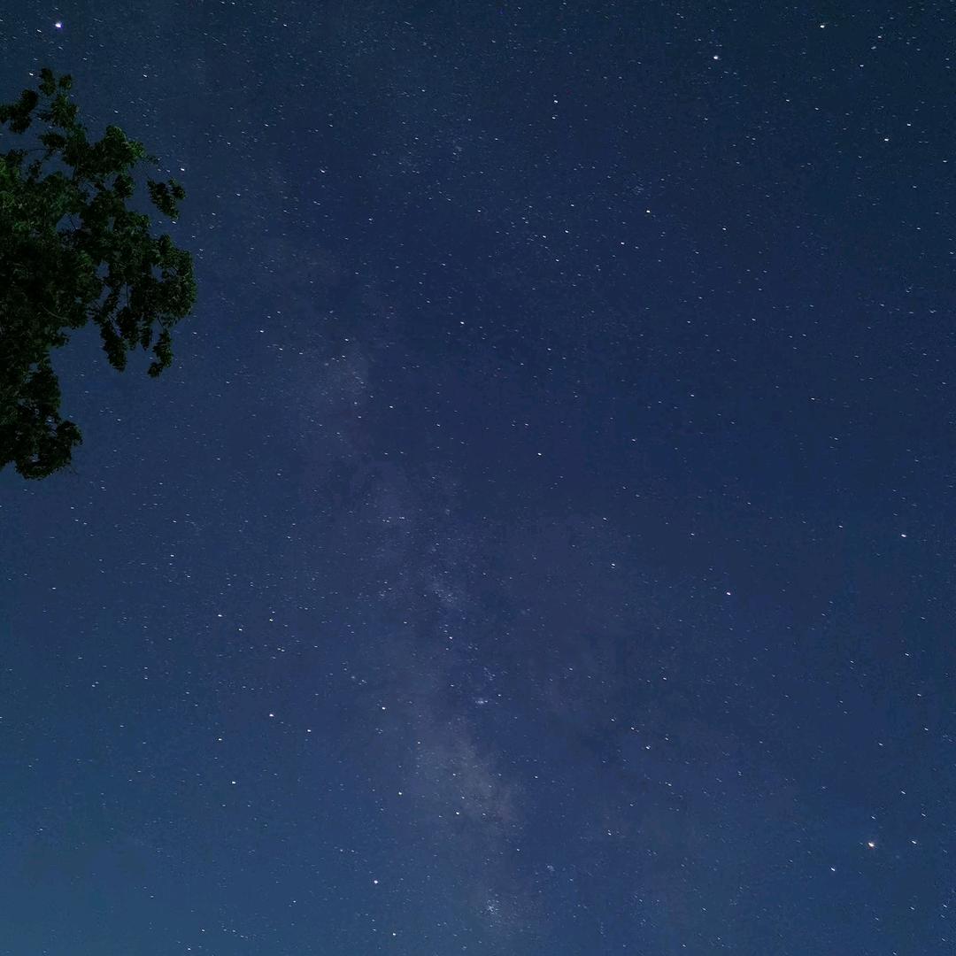 秋风落叶