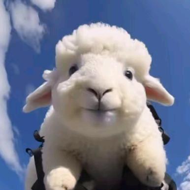 羊🐏