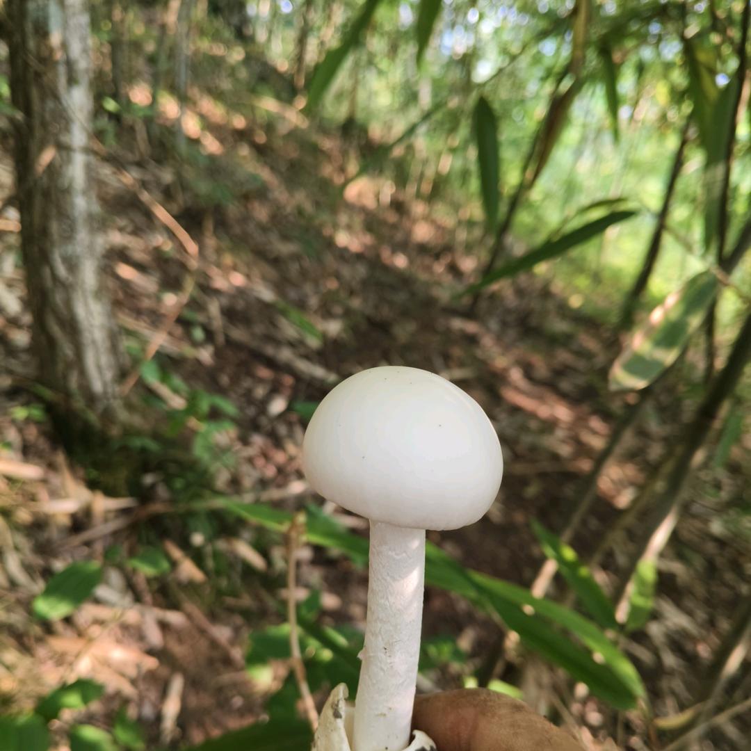 🚬᭄࿐人间💘清风🥀᭄