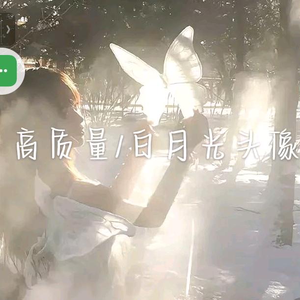 叽宅