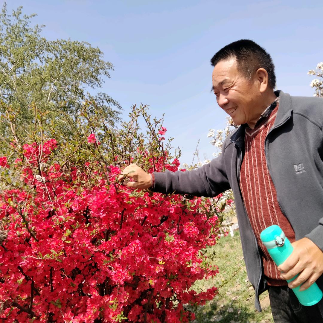 张忠平