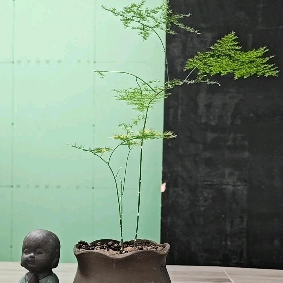质优好物分享