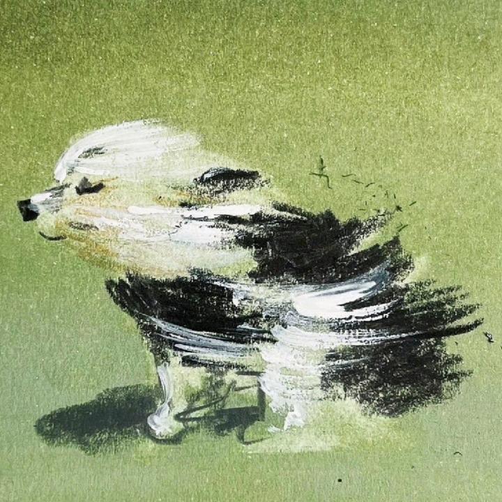 椰树一棵