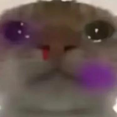 小黄同学（三角洲）